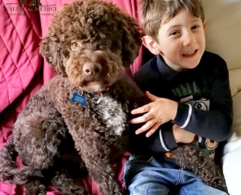 lagotto cane da compagnia famiglia e bambini