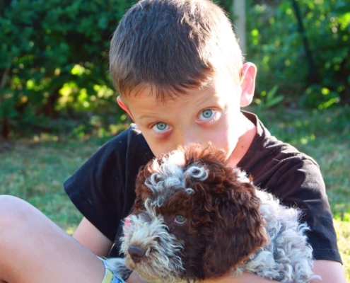 Allevamento Lagotto Romagno Toscana