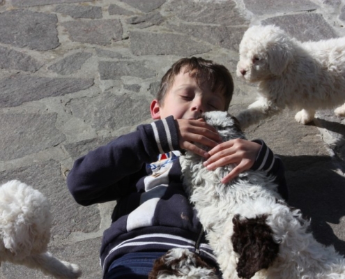 bambini Lagotto romagnolo conoscere presto