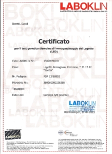 certificato test genetici patologia LSD lagotto