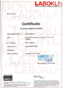 certificato test genetici furnishing lagotto romagnolo