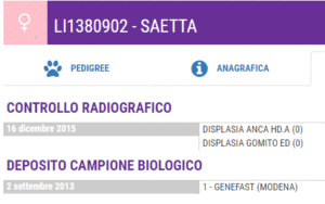 deposito campione biologico lagotto romagnolo