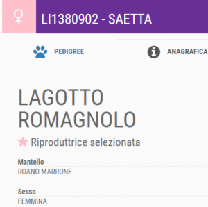 riproduzione selezionata lagotto romagnolo ENCI