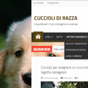 cuccioli di razza intervista allevamento