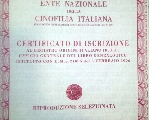 pedigree riproduzione selezionata lagotto romagnolo