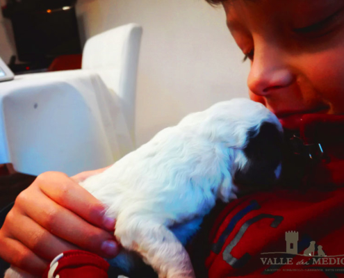 Lagotto e bambini