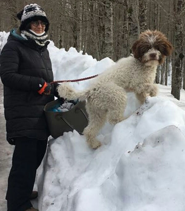 lagotto romagnolo e la neve