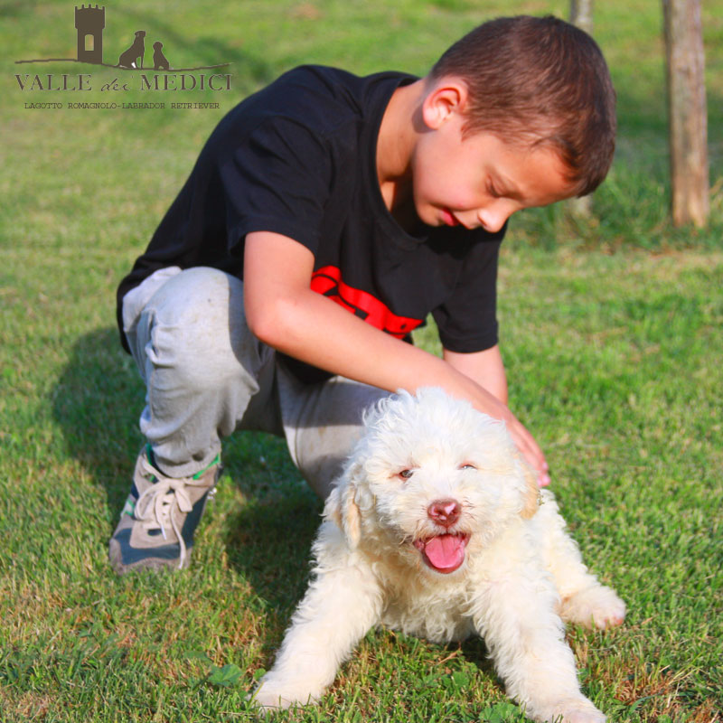 miglior allevamento lagotto romagnolo