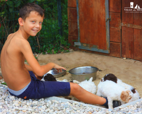 lagotto romagnolo bambini