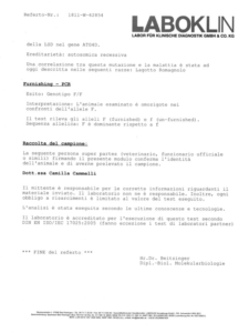 pedro test genetici 1