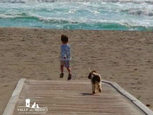 lagotto mare sardegna