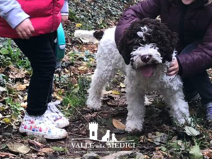 lagotto bambini