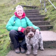 breeder lagotto reviews