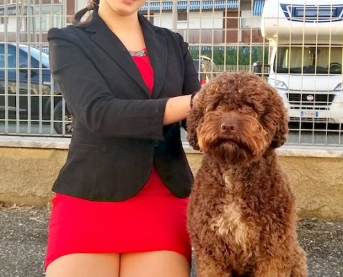 esposizione canina massa