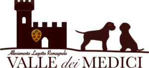 Valle dei Medici