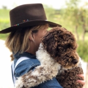 Lagotto romagnolo USA italian water dog
