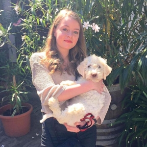 lagotto romagnolo breeder