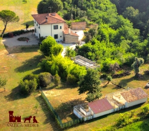 lagotto romagnolo breeder