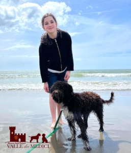 child and lagotto romagnolo exellent company dog lagotto teo